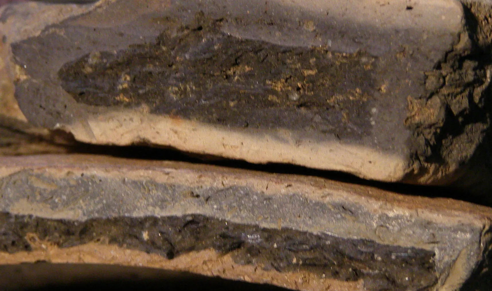 Carbon sources in archaeological pottery